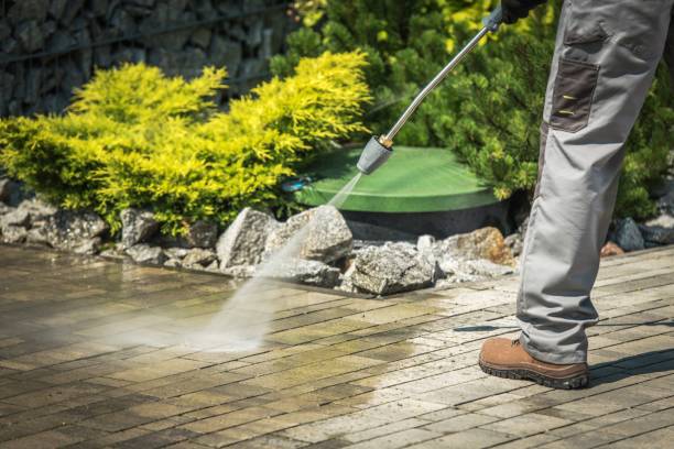 Best Driveway Pressure Washing  in Ellitt, CO