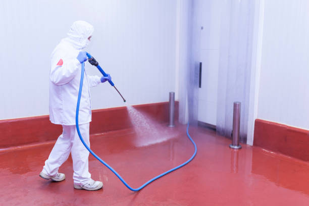 Professional  Pressure Washing Services in Ellicott, CO