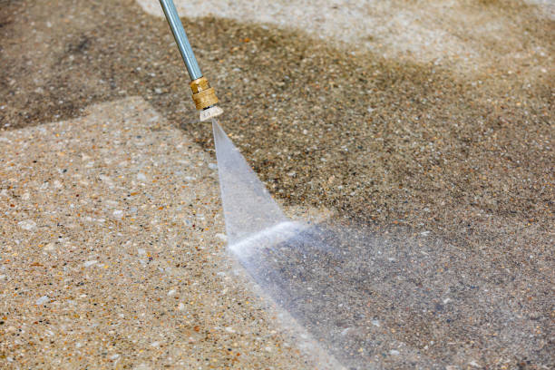 Best Warehouse Cleaning  in Ellitt, CO